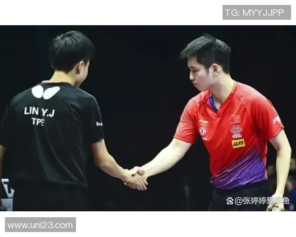 樊振东与林昀儒世界杯对决精彩瞬间回顾与赛后分析
